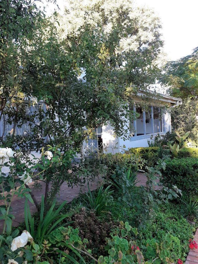 Driftwood Boutique Bed And Breakfast Lobatse Kültér fotó