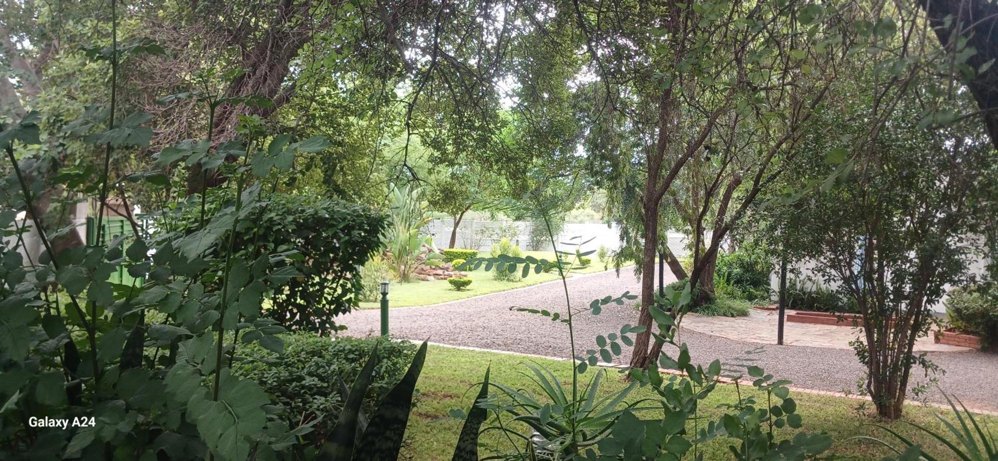 Driftwood Boutique Bed And Breakfast Lobatse Kültér fotó